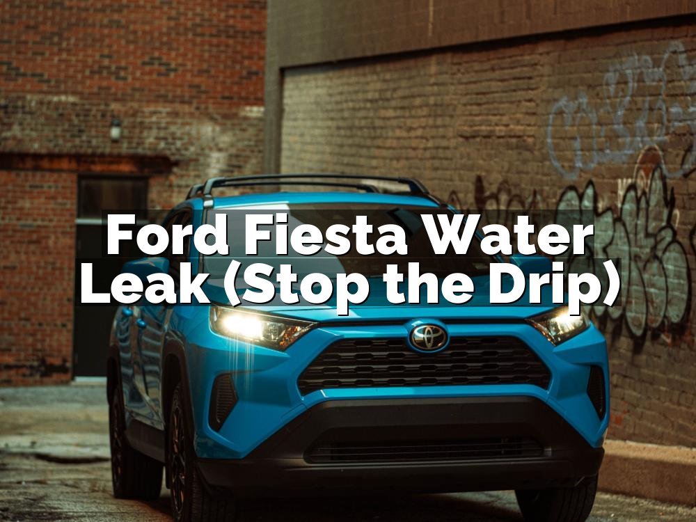 Ford Fiesta Water Leak (Stop the Drip)