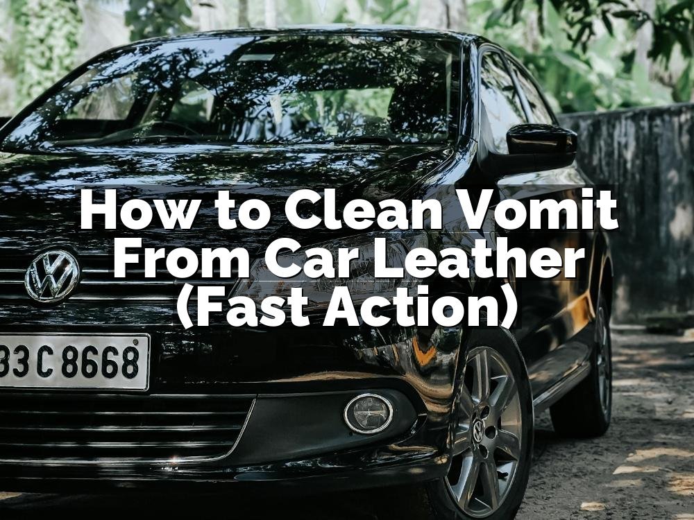 How to Clean Vomit From Car Leather (Fast Action)