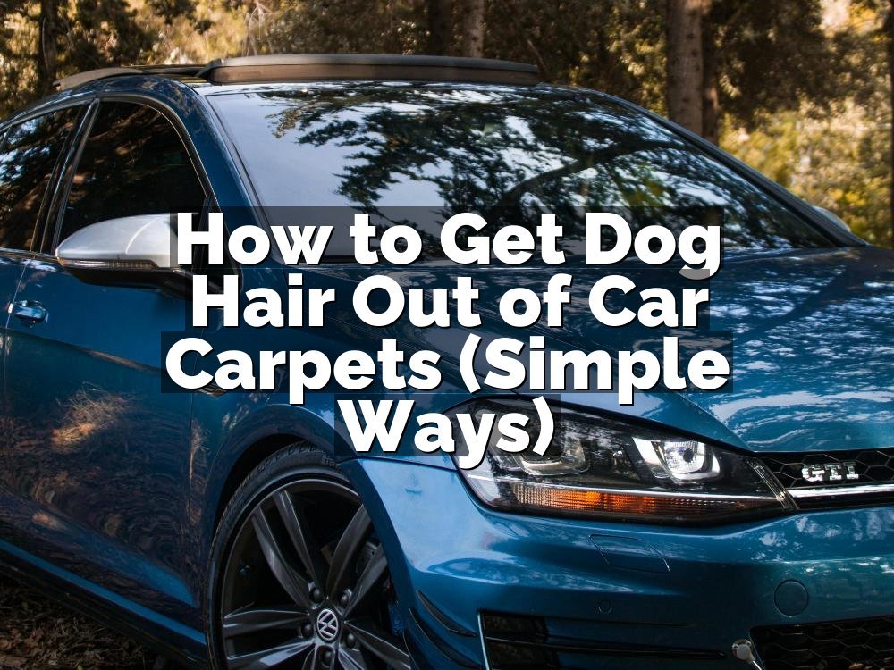 How to Get Dog Hair Out of Car Carpets (Simple Ways)