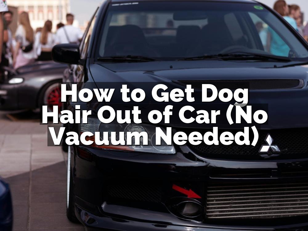 How to Get Dog Hair Out of Car (No Vacuum Needed)
