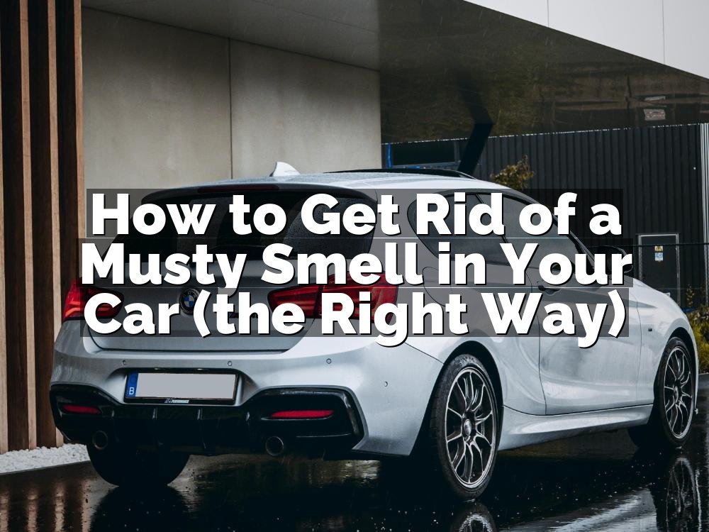 How to Get Rid of a Musty Smell in Your Car (the Right Way)