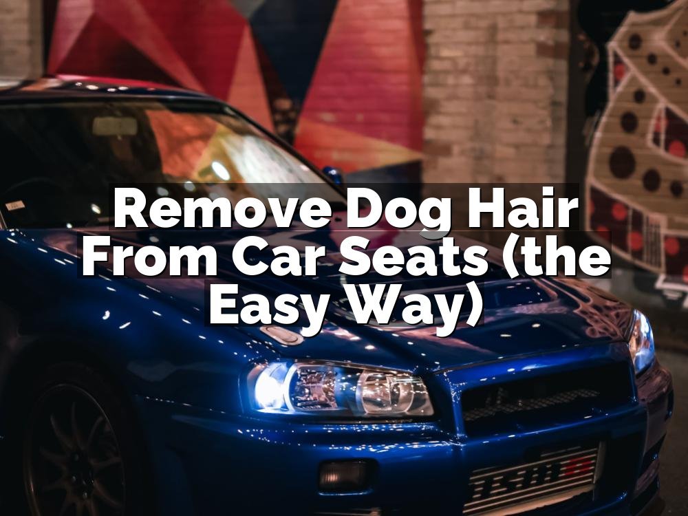 Remove Dog Hair From Car Seats (the Easy Way)
