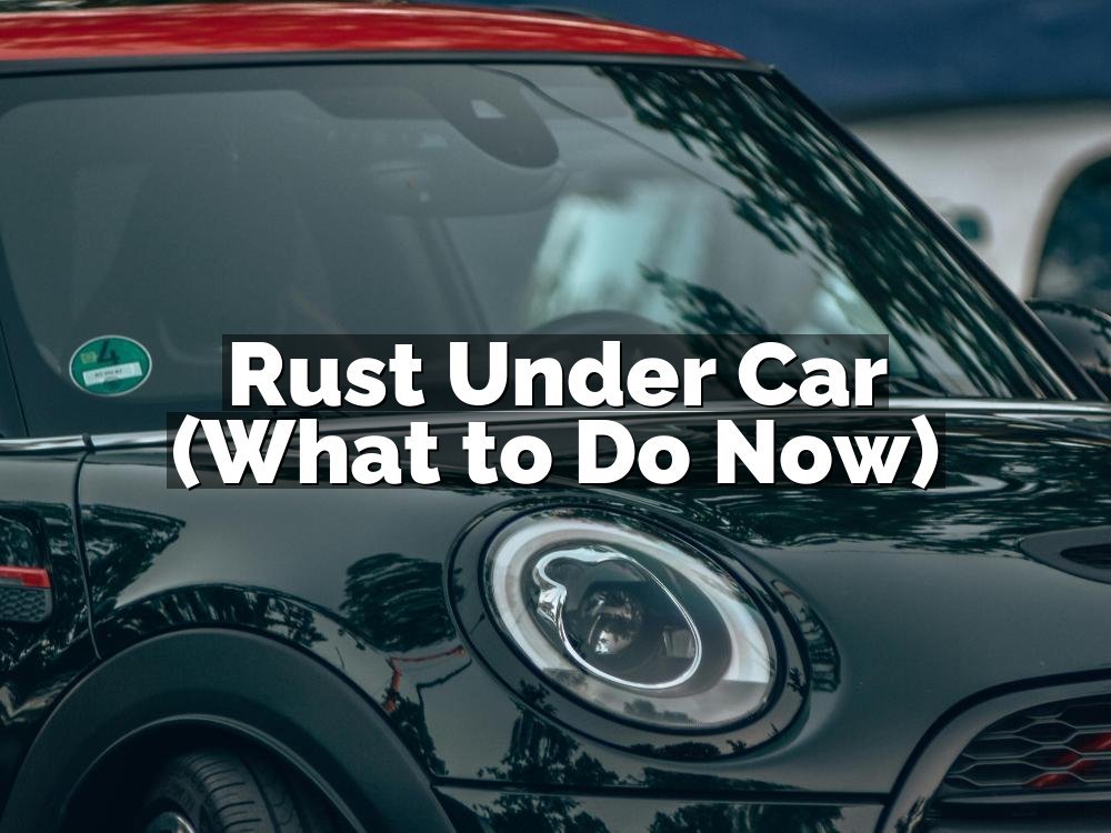 Rust Under Car (What to Do Now)