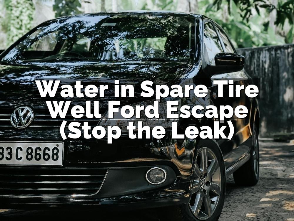 Water in Spare Tire Well Ford Escape (Stop the Leak)