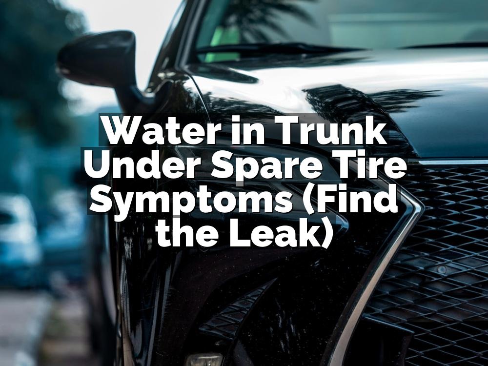Water in Trunk Under Spare Tire Symptoms (Find the Leak)