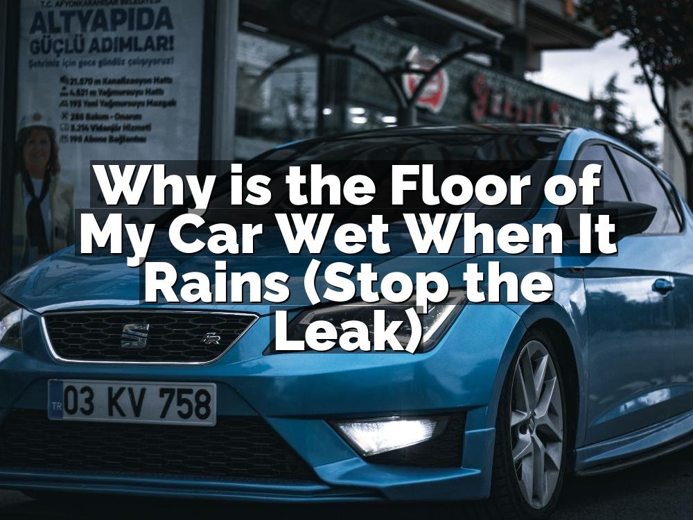 Why is the Floor of My Car Wet When It Rains (Stop the Leak)