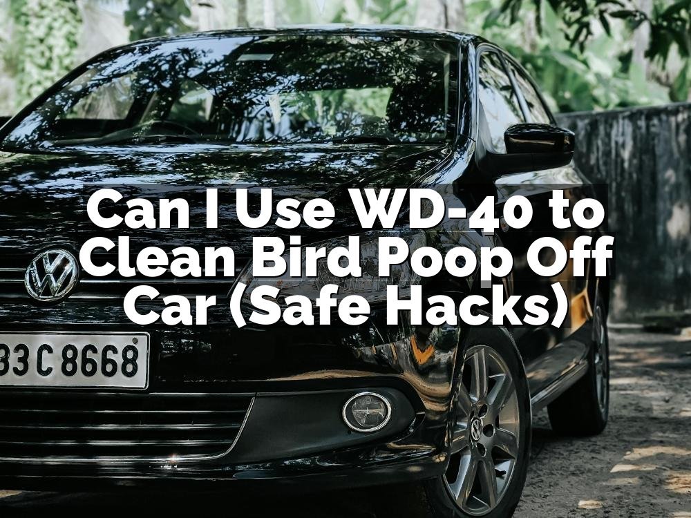 Can I Use WD-40 to Clean Bird Poop Off Car (Safe Hacks)