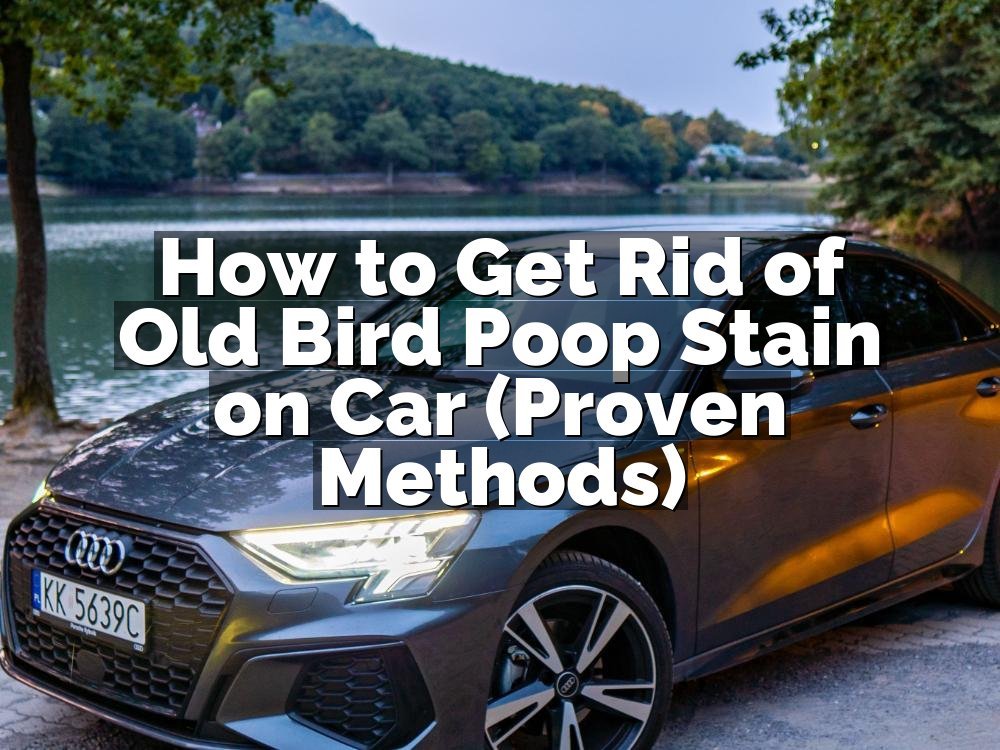 How to Get Rid of Old Bird Poop Stain on Car (Proven Methods)
