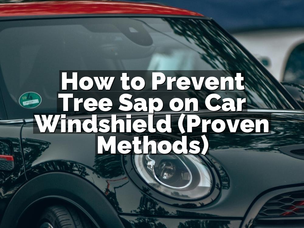 How to Prevent Tree Sap on Car Windshield (Proven Methods)