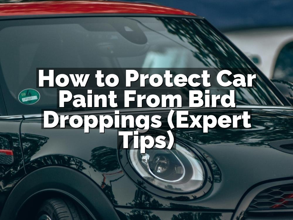 How to Protect Car Paint From Bird Droppings (Expert Tips)