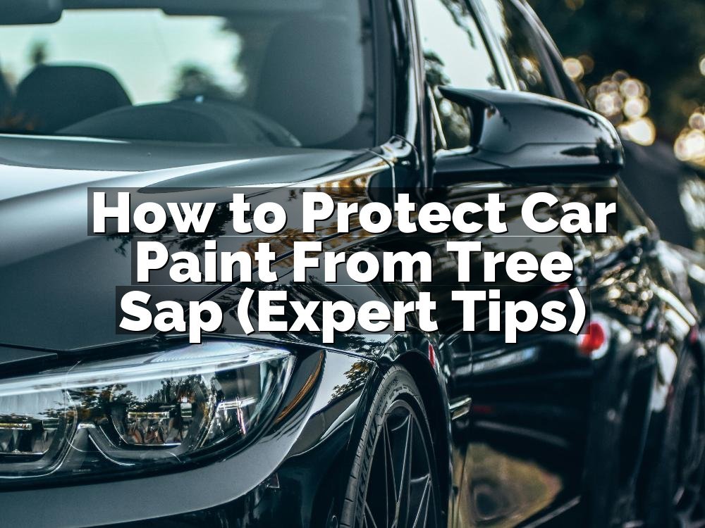How to Protect Car Paint From Tree Sap (Expert Tips)