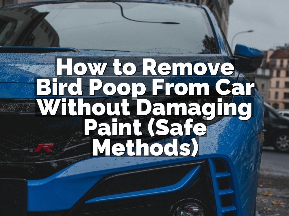 How to Remove Bird Poop From Car Without Damaging Paint (Safe Methods)