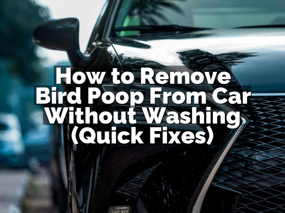 How to Remove Bird Poop From Car Without Washing (Quick Fixes)