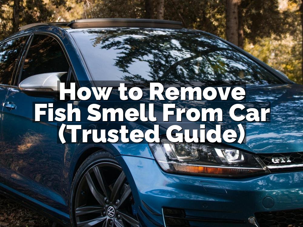 How to Remove Fish Smell From Car (Trusted Guide)