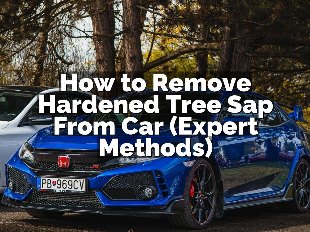 How to Remove Hardened Tree Sap From Car (Expert Methods)