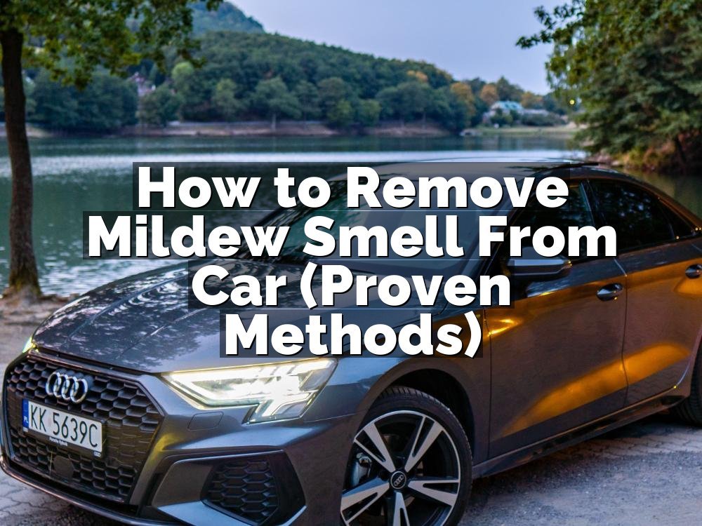 How to Remove Mildew Smell From Car (Proven Methods)