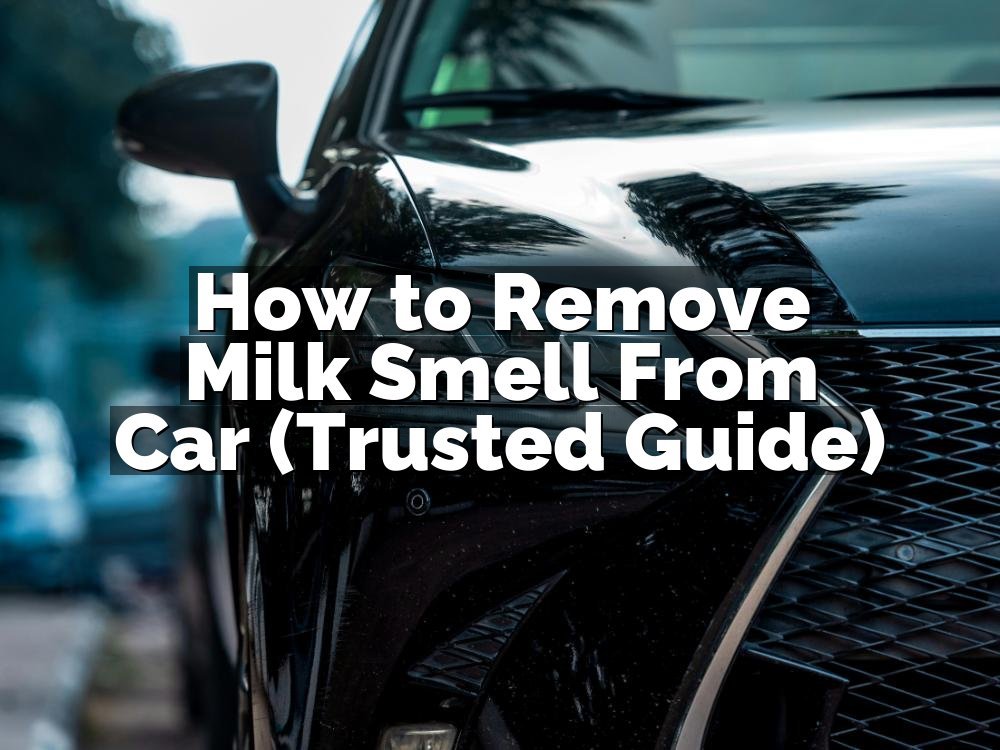How to Remove Milk Smell From Car (Trusted Guide)