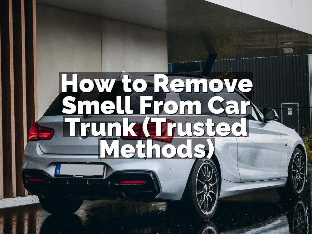 How to Remove Smell From Car Trunk (Trusted Methods)