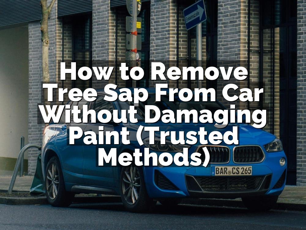 How to Remove Tree Sap From Car Without Damaging Paint (Trusted Methods)