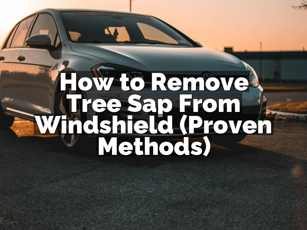 How to Remove Tree Sap From Windshield (Proven Methods)