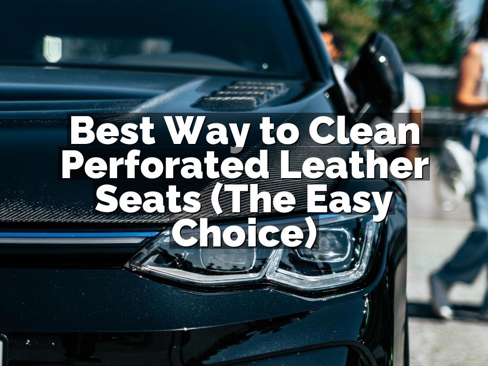 Best Way to Clean Perforated Leather Seats (The Easy Choice)
